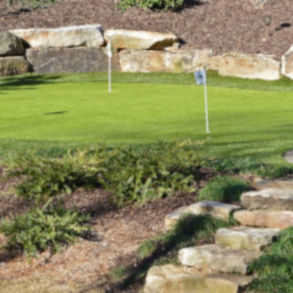 Top Trends For Tucson Backyard Golf Putting Greens